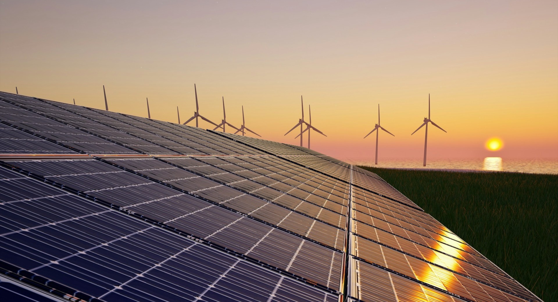 alexander-mils-YtELR3Q5Y4E-unsplash