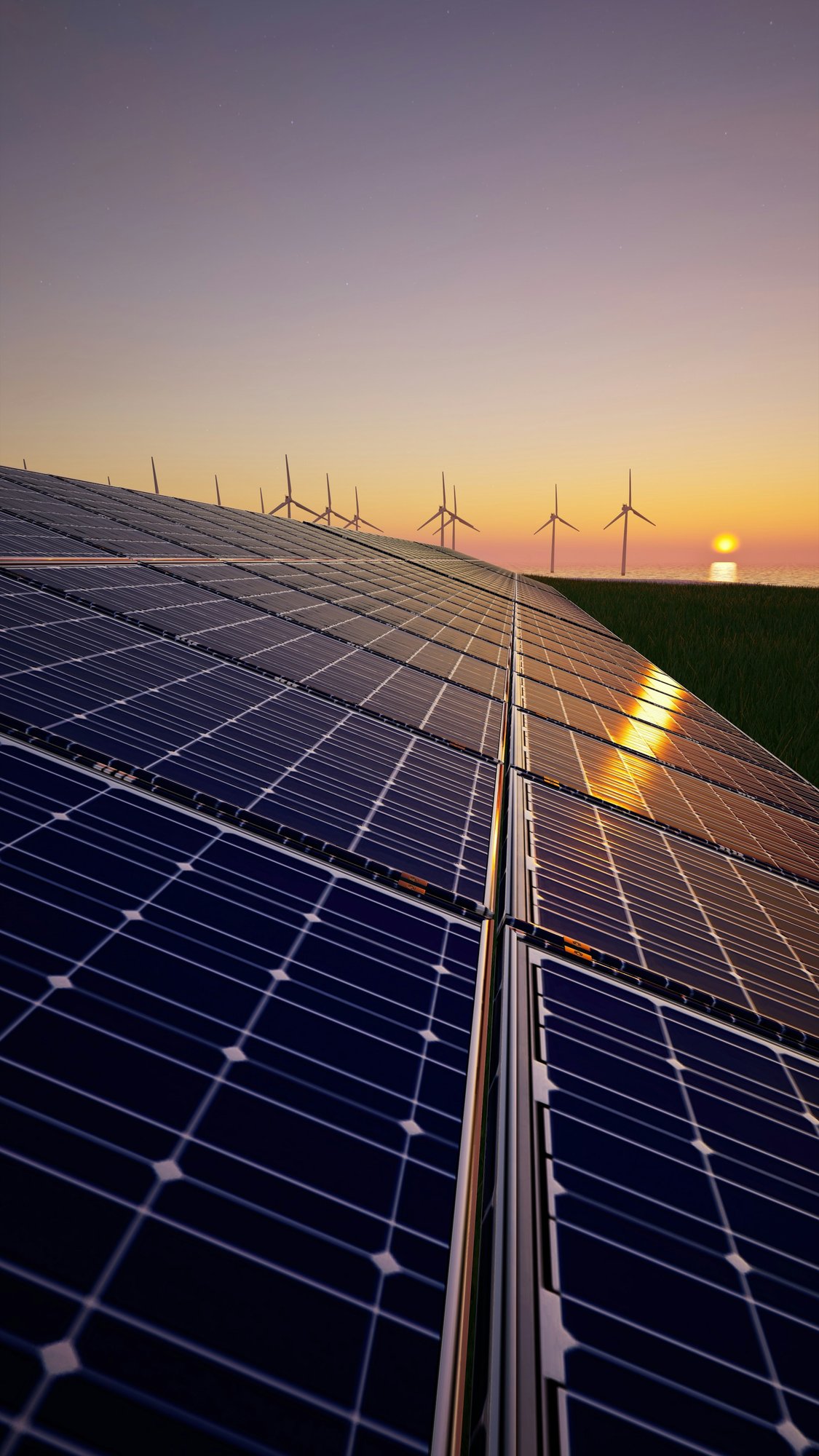 alexander-mils-YtELR3Q5Y4E-unsplash