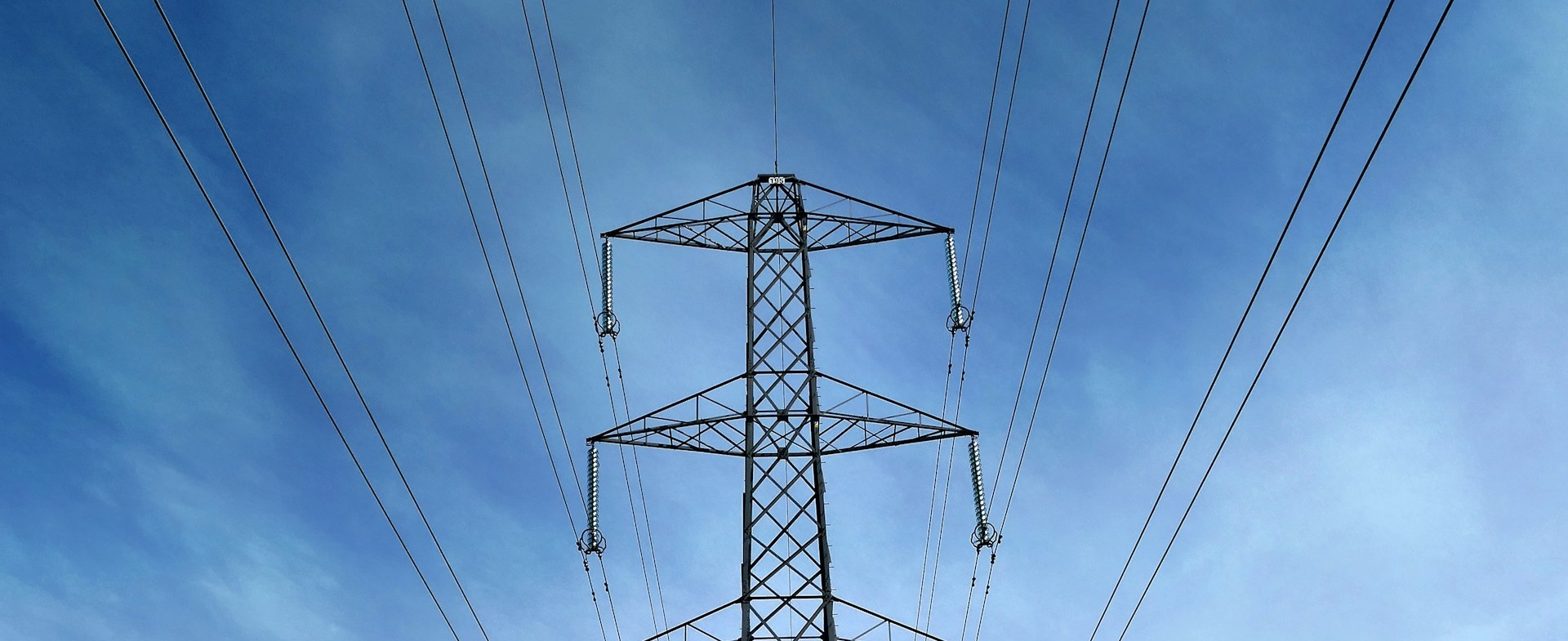 bill-eccles-ldC256IxI7U-unsplash